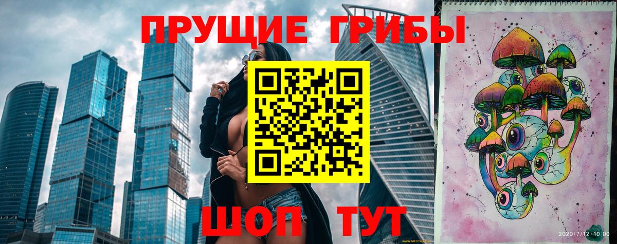 Псилоцибиновые грибы Psilocybe Озёрск