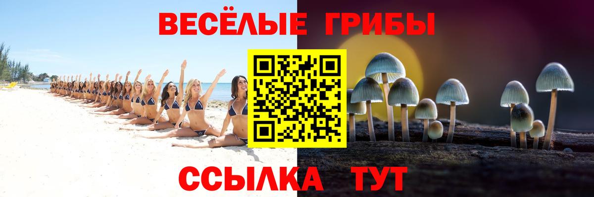 Галлюциногенные грибы Magic Shrooms  Псилоцибиновые грибы Psilocybe  Озёрск  закладка  Вход с VPN 