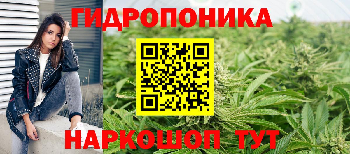 Марихуана сатива Озёрск